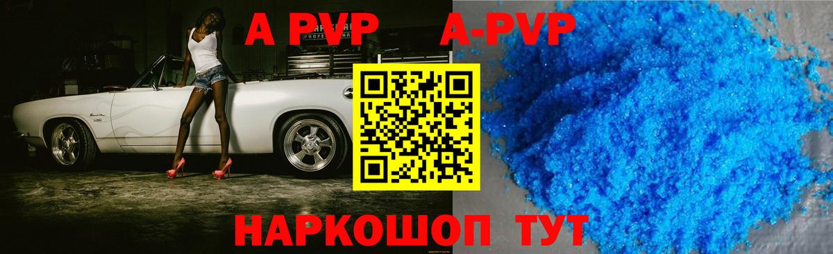 Альфа ПВП СК Губкин
