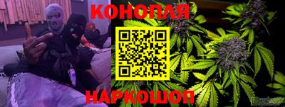прущие грибы Можга