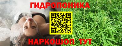 прущие грибы Можга