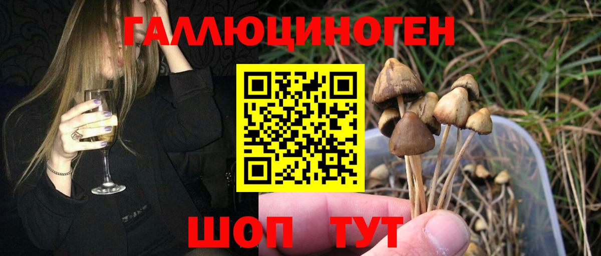 Галлюциногенные грибы ЛСД Губкин