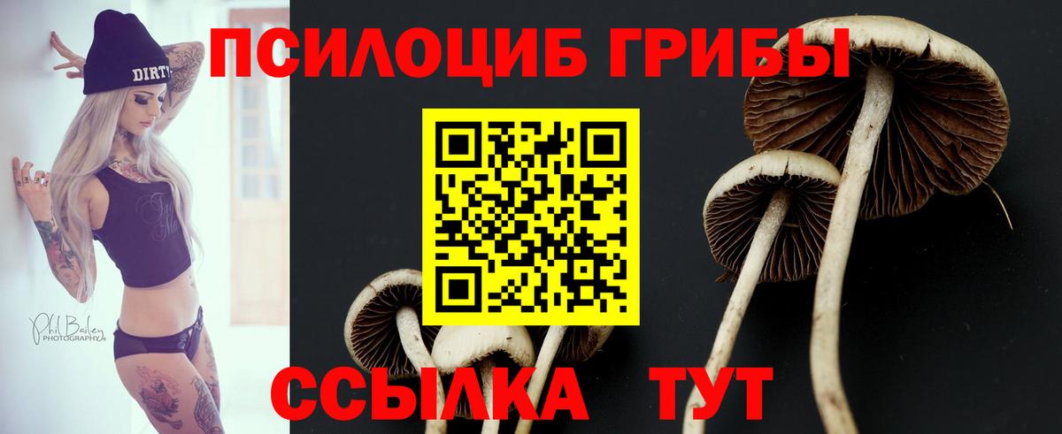 Псилоцибиновые грибы прущие грибы  Вход с VPN  Губкин 
